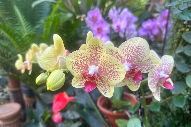 1/2 Day Puerto Vallarta Botanical Garden tour - Boca de Tomatlán and the south shore views