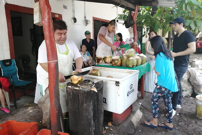 1 to 6 Passengers Vallarta Private City Tour - Los Arcos and Mismaloya: scenery south of town