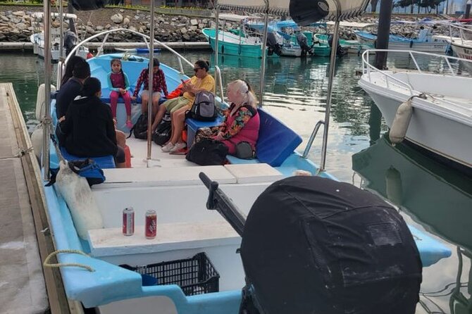 3 Hours of Whale Watching in Puerto Vallarta - Guide communication and the English question