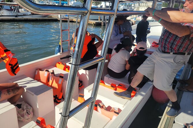 3 Hours of Whale Watching in Puerto Vallarta - Is $55 a fair price?