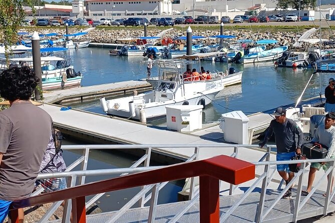3 Hours of Whale Watching in Puerto Vallarta - Who will enjoy this outing most?