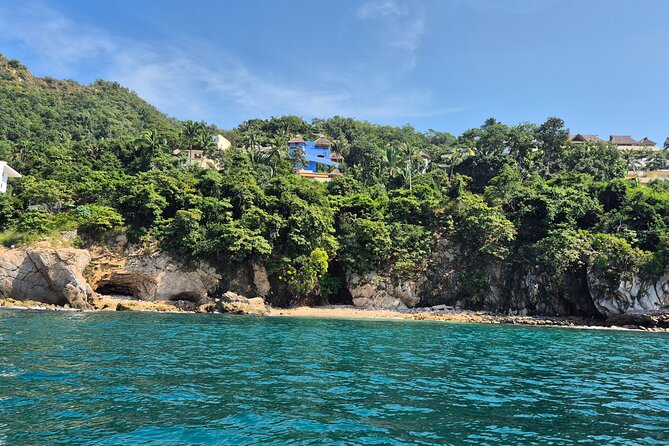 3 hours private snorkeling tour in Misaloya, Puerto Vallarta - Blue-footed boobies and other wildlife