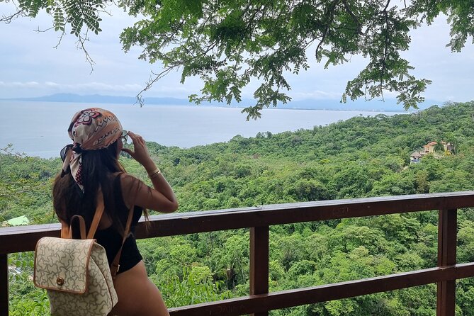 4-Hour Jungle Hike and Waterfall Swim - Palo María waterfall and the fish-filled swimming pool