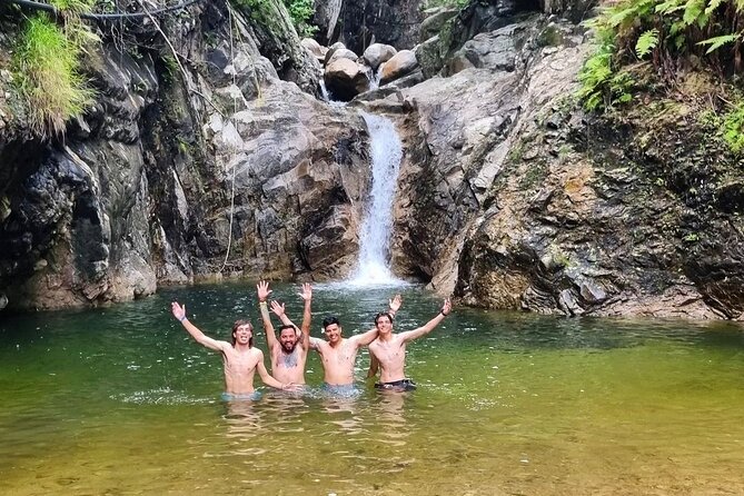 4-Hour Jungle Hike and Waterfall Swim - Walking into Palo María’s tropical forest