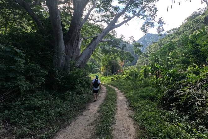Adventure route: Hike to Cascada Escondida - A guide-led outing with Elian