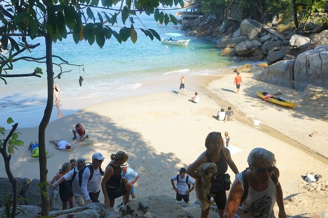 All-inclusive Colomitos cruise and Animas beach snorkeling - Practical tips for a smoother outing