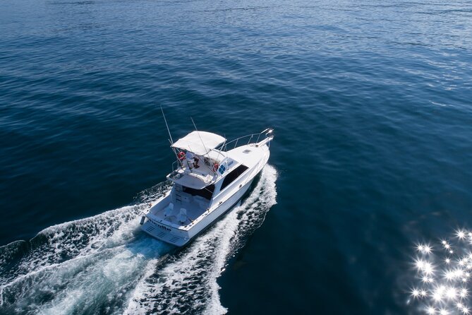 Bertram 38' Convertible Boat in Puerto & Nuevo Vallarta - What the $800 group price really means