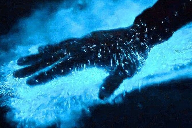 Bioluminescence & sunset local boat tour to Los Arcos Sanctuary - Key points to know before you book