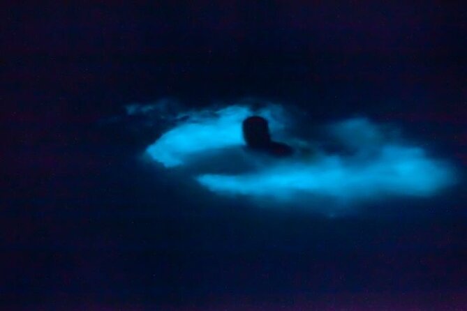 Bioluminescence & sunset local boat tour to Los Arcos Sanctuary - The ride toward Los Arcos