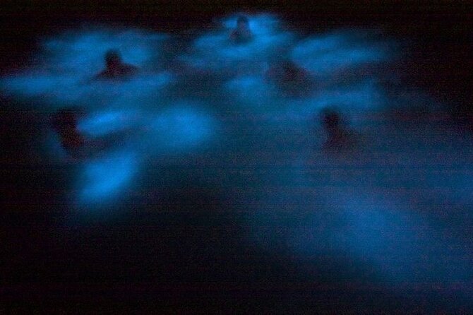 Bioluminescence & sunset local boat tour to Los Arcos Sanctuary - The ride back and what is provided