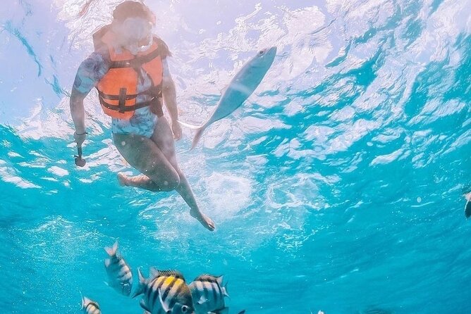 Boat and Snorkel Tour to 5 Islands of Los Arcos - Taking a panga from Mismaloya beach