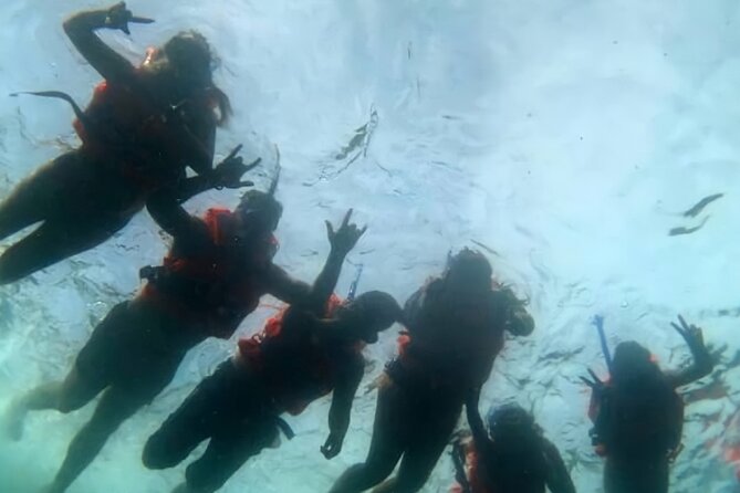 Boat and Snorkel Tour to 5 Islands of Los Arcos - Meeting in Zona Romántica and riding to Mismaloya