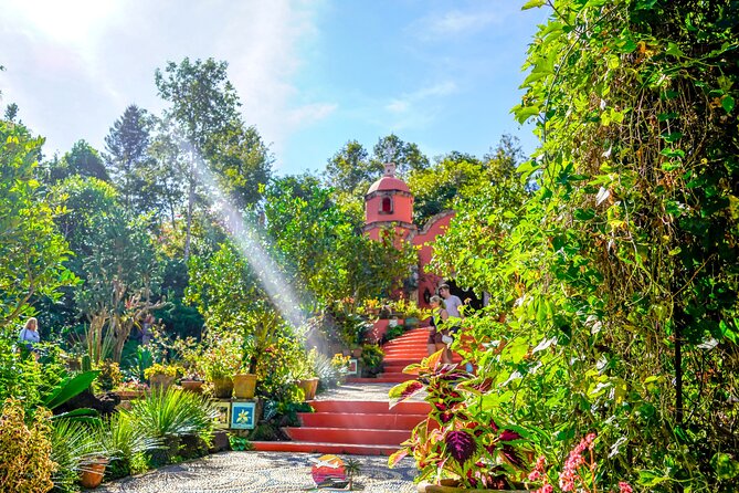 Botanical Garden: Private Day Trip of Flora & Fauna in Vallarta. - Key points at a glance