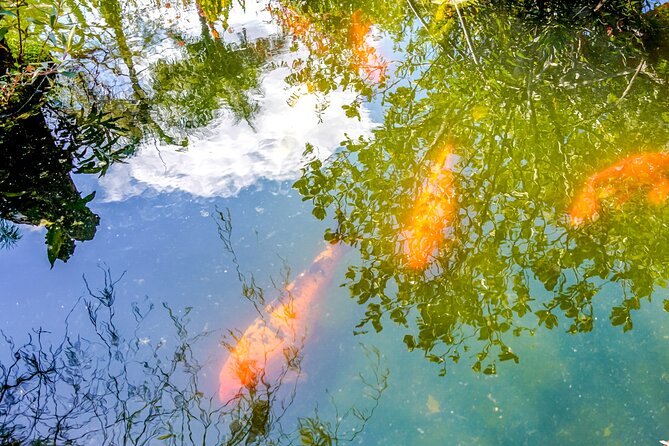 Botanical Garden: Private Day Trip of Flora & Fauna in Vallarta. - Hacienda de Oro adds a proper lunch option