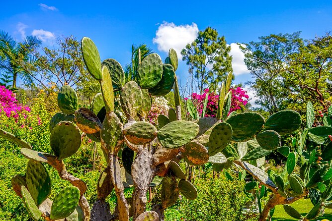 Botanical Garden: Private Day Trip of Flora & Fauna in Vallarta. - What the private format is really worth