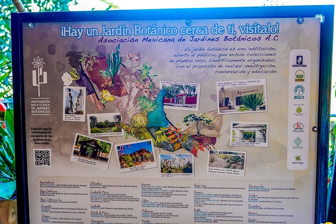 Botanical Garden: Private Day Trip of Flora & Fauna in Vallarta. - Practical details for families and mobility needs
