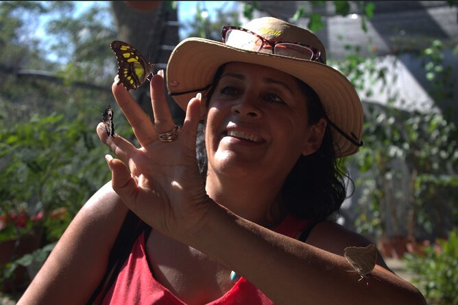 Butterflies, City tour, tequila, and beach (kids free) - What this Puerto Vallarta tour is really designed to do