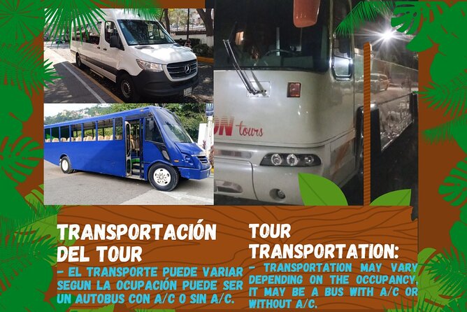 Butterflies, City tour, tequila, and beach (kids free) - The Malecon: a quick look rather than a walking tour