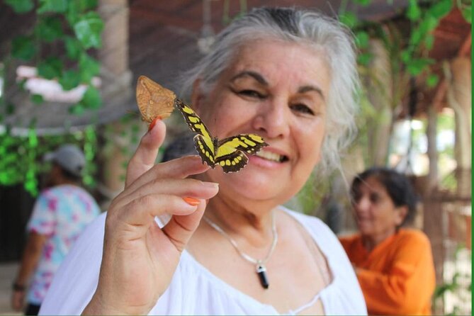 Butterflies, City tour, tequila, and beach (kids free) - Who should book this outing?