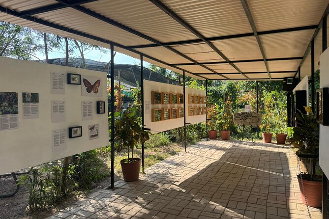 Butterfly Sanctuary, Museum & Lunch with Transport - Why the Guide Matters