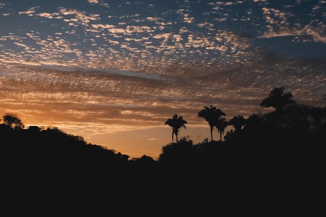 Cachasol Raicilla and Tequila Tour - Who will enjoy this experience most?