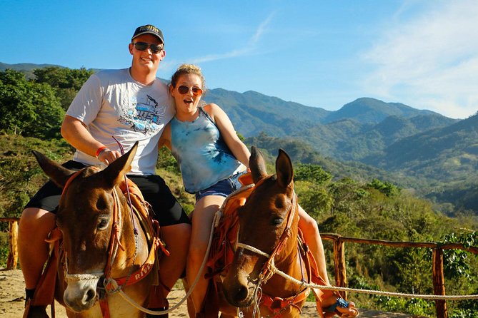 Canopy River Zipline Tour and Mule Ride - What the Five-Hour Schedule Feels Like