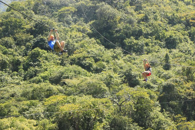 Canopy River Zipline Tour and Mule Ride - Practical Tips for a Better Day