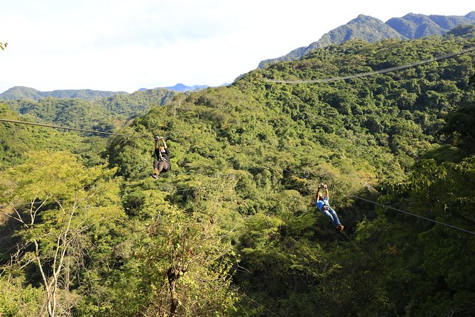 Canopy River Zipline Tour and Mule Ride - Guides, Safety, and the Human Side of the Tour