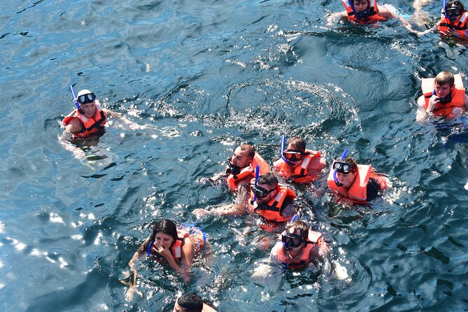 Catamaran Tour to the Arches, Playa las Animas, Snorkeling and more - How the group size changes the experience