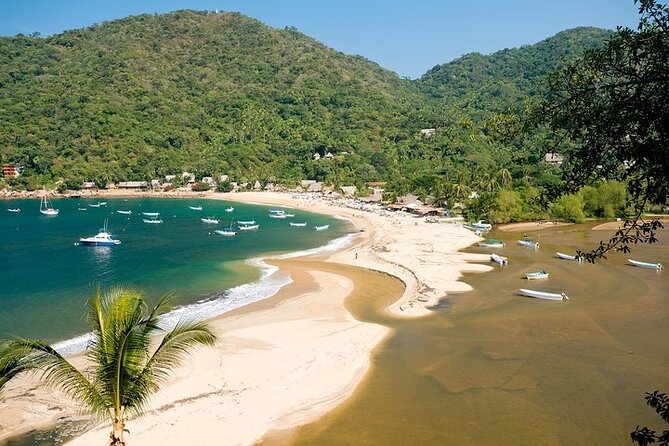 Catamaran Yelapa Beach Tour with Snorkeling, Food and Open Bar - What This Puerto Vallarta Catamaran Day Really Offers