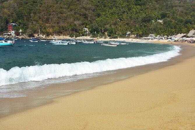 Catamaran Yelapa Beach Tour with Snorkeling, Food and Open Bar - Who Will Enjoy This Tour Most?