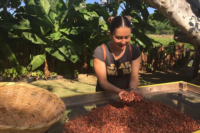 Chocolate Tour in Vallarta - From fermented bean to hand-ground chocolate