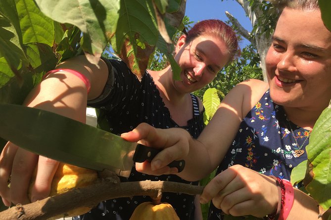 Chocolate Tour in Vallarta - How the private format changes the visit