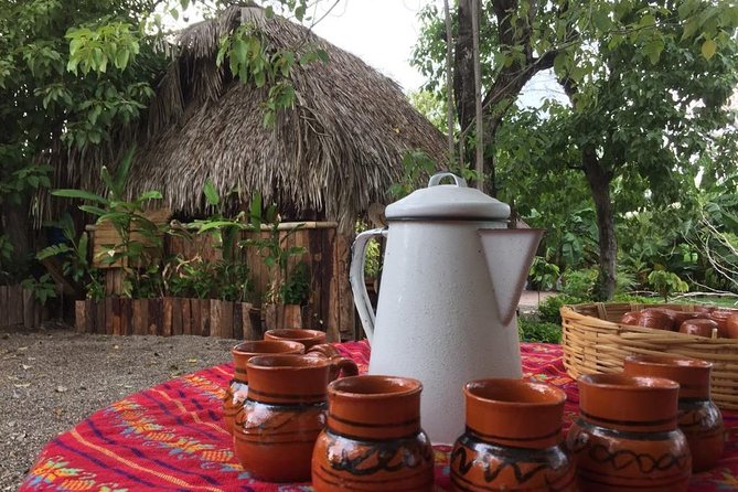Chocolate Tour in Vallarta - The story begins with cacao, not candy