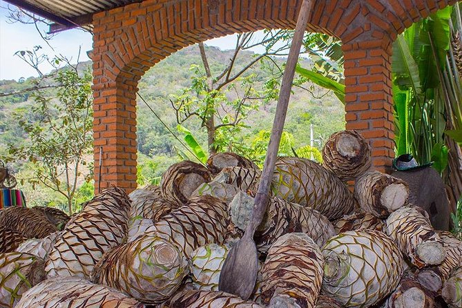 City and Tequila Tour in Puerto Vallarta - Los Arcos, the Malecón, and Banderas Bay