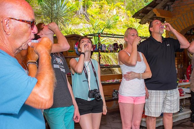City and Tequila Tour in Puerto Vallarta - The guides can shape the whole day