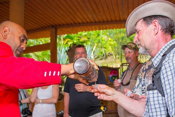 City and Tequila Tour in Puerto Vallarta - How the $66 price measures up