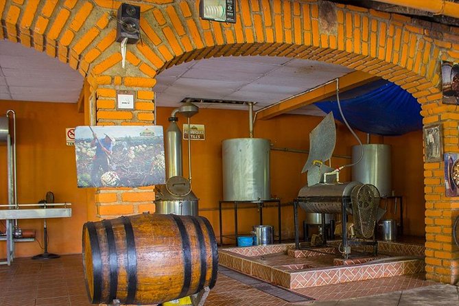 City and Tequila Tour in Puerto Vallarta - Who should book this experience