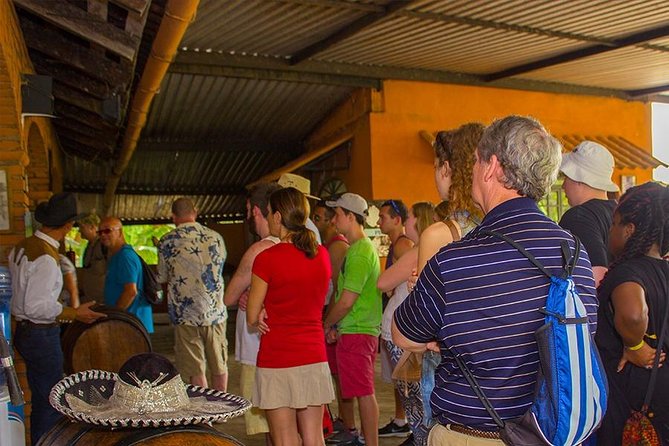 City and Tequila Tour in Puerto Vallarta - Should you book the City and Tequila Tour?