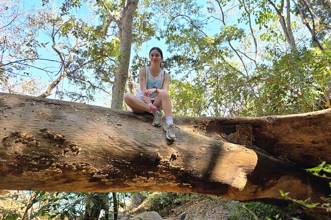 Coastal and Jungle Hiking Tour along 6 Beaches of Puerto Vallarta - Meeting in the Romantic Zone and riding to Boca