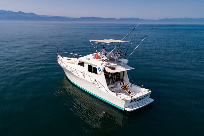 Custom 46' Boat in Puerto & Nuevo Vallarta - Whale and dolphin watching from the water