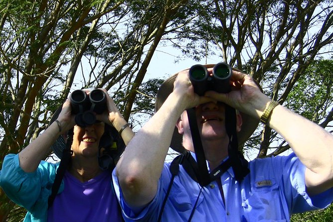 Desembocada and Ameca River Bird Paradise (Wetland and Tropical birds in PV) - The guide makes the biggest difference