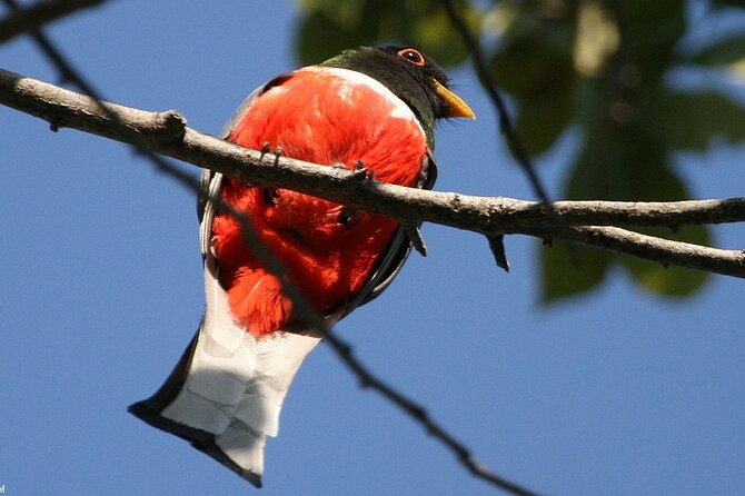 Desembocada and Ameca River Bird Paradise (Wetland and Tropical birds in PV) - Transport, comfort, and the amount of driving