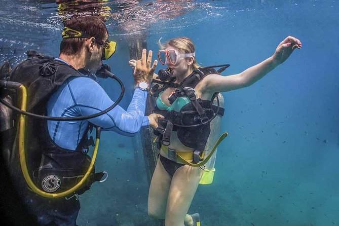 Discover Scuba experience at Las Caletas, Puerto Vallarta - A beginner’s first look beneath Banderas Bay