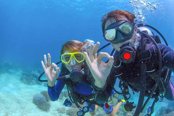 Discover Scuba experience at Las Caletas, Puerto Vallarta - How the equipment and group size affect comfort