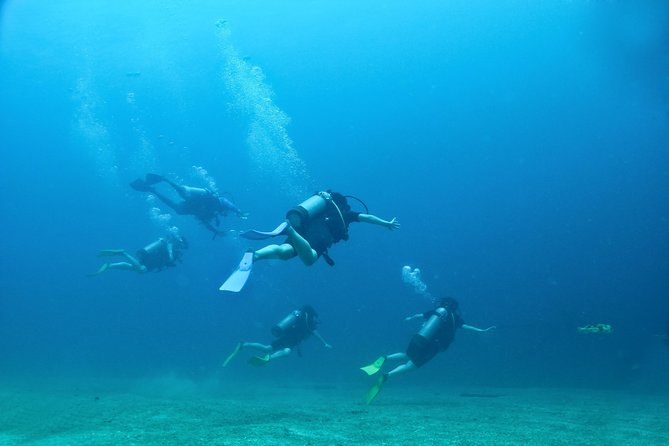 Discover Scuba experience at Las Caletas, Puerto Vallarta - Practical planning for your Puerto Vallarta schedule