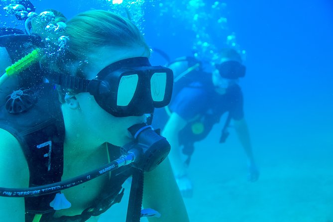 Discover Scuba experience at Las Caletas, Puerto Vallarta - Who will get the most from this experience