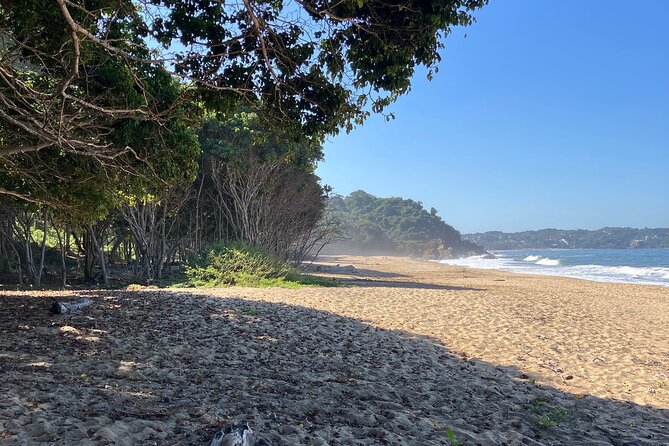 Ecocultural Jungle Hike & Secret Beach Experience - The quiet beach and small cave