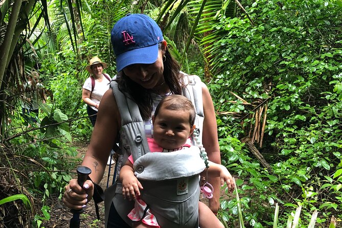 EcoHike to private beach, Jungle Walk to see plants & animals - Why the Small Group Matters