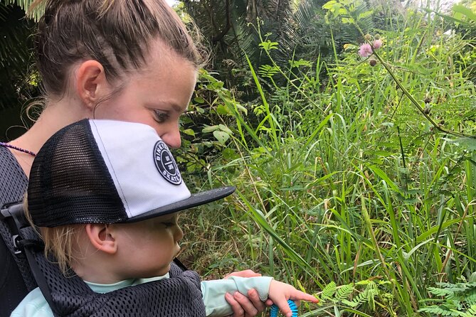 EcoHike to private beach, Jungle Walk to see plants & animals - What to Bring for Three Hours Outside